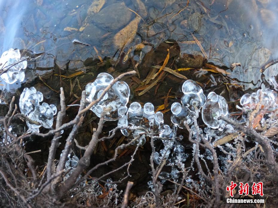 晩秋に「氷の花」咲く內(nèi)蒙古大興安嶺