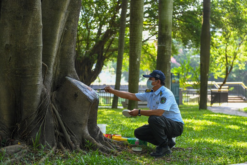 深センの公園に絵筆で彩り添える警備員　広東省