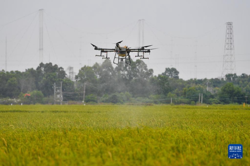 國(guó)家級(jí)種苗生産大県を訪ねて　海南省