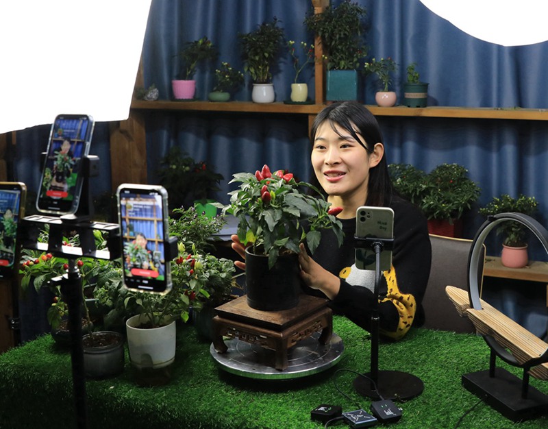 野菜の鉢植えで農(nóng)家の増収バックアップ　江蘇省