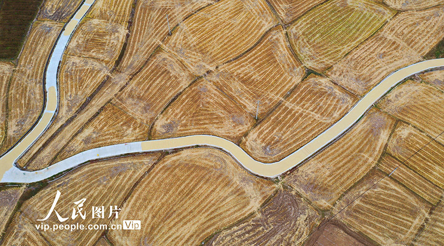 湖南省郴州市嘉禾県晉屏鎮(zhèn)甫口村で、収穫を終えた農(nóng)地に殘された「指紋」（撮影?黃春濤/ 寫真著作権は人民図片が所有のため転載禁止）。
