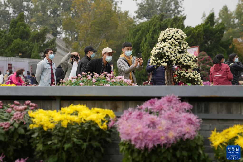 北海公園で秋の菊鑑賞　北京