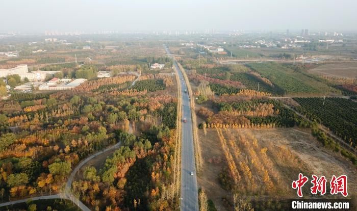 上空から撮影した秋ムード満點(diǎn)の雄安新區(qū)　河北省