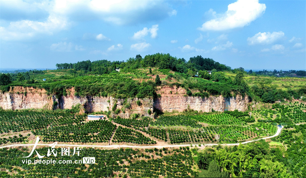 廃鉱が緑豊かな果樹(shù)園に　四川省仁壽