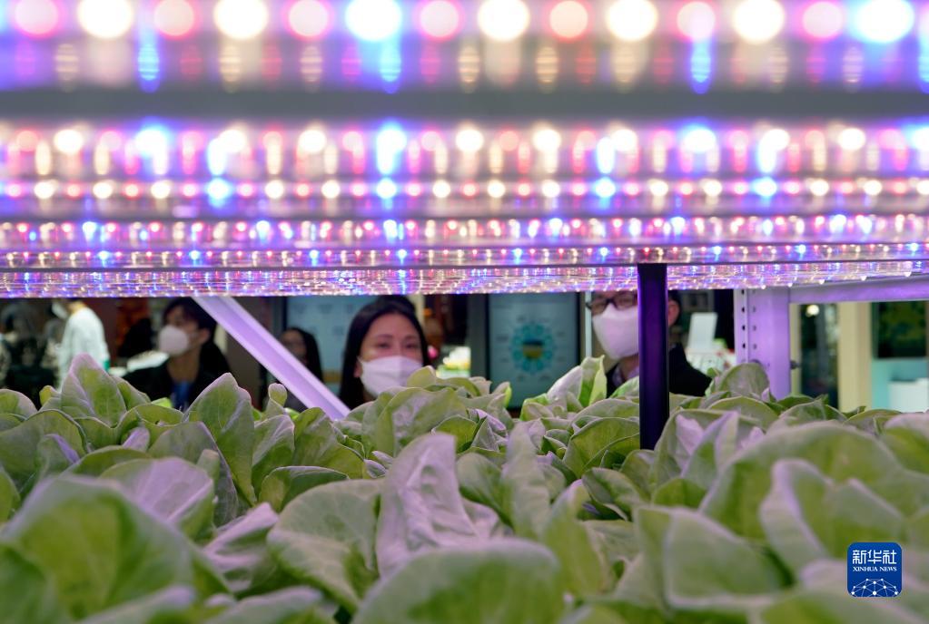 第5回中國國際輸入博覧會で「コンテナ植物工場」モデル公開