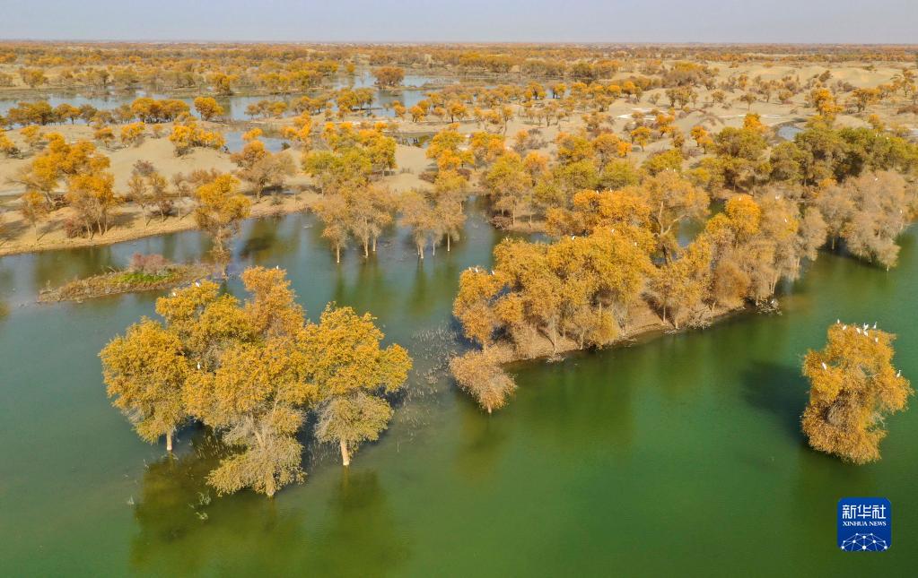 3つの山と2つの盆地が育む濕地の美　新疆