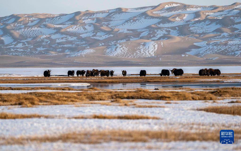 3つの山と2つの盆地が育む濕地の美　新疆