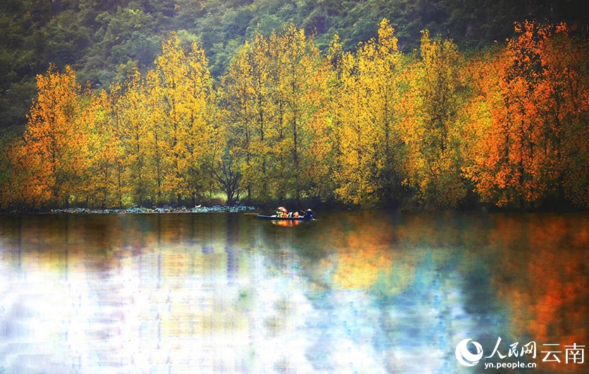 澄んだ山と水、色づく森、飛び交う渡り鳥(niǎo)　雲(yún)南省普者黒