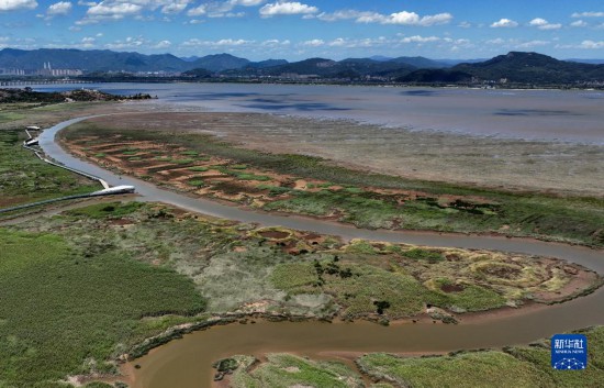 「鳥の楽園」閩江河口濕地を訪ねて　福建省
