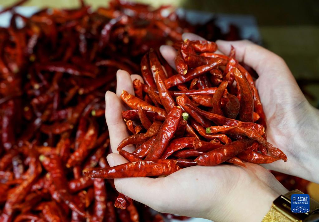 第5回中國國際輸入博覧會で楽しむ「アフリカの味」