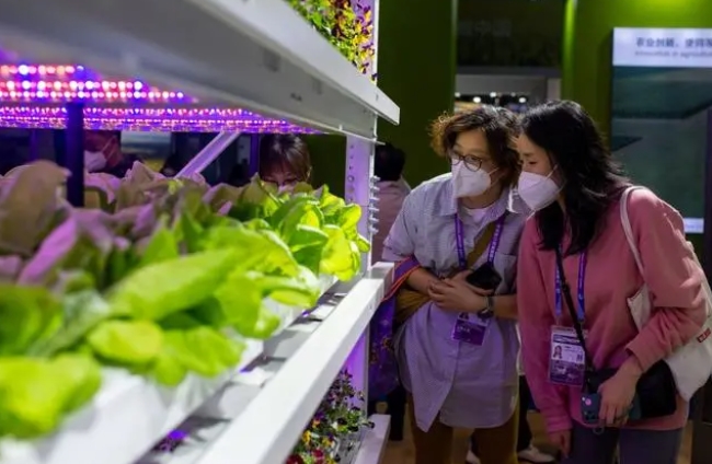 「舌の上の輸入博」を味わい盡くす　第5回輸入博