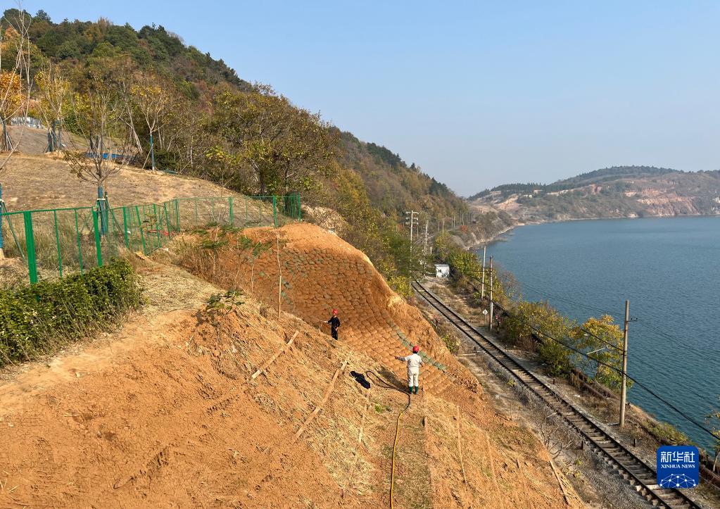 舊鉱山地域の生態(tài)系に変化　安徽省馬鞍山