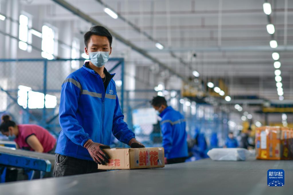 貴州省竜里県の貴州宅配物流パーク內(nèi)のある宅配企業(yè)の仕分センターで、仕分作業(yè)を進めるスタッフ（11月10日撮影?楊文斌）。