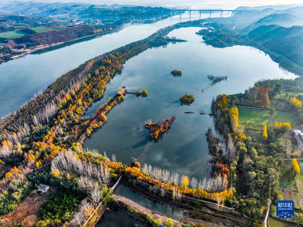色彩が競演しているような黃河濕地の冬景色　河南省済源