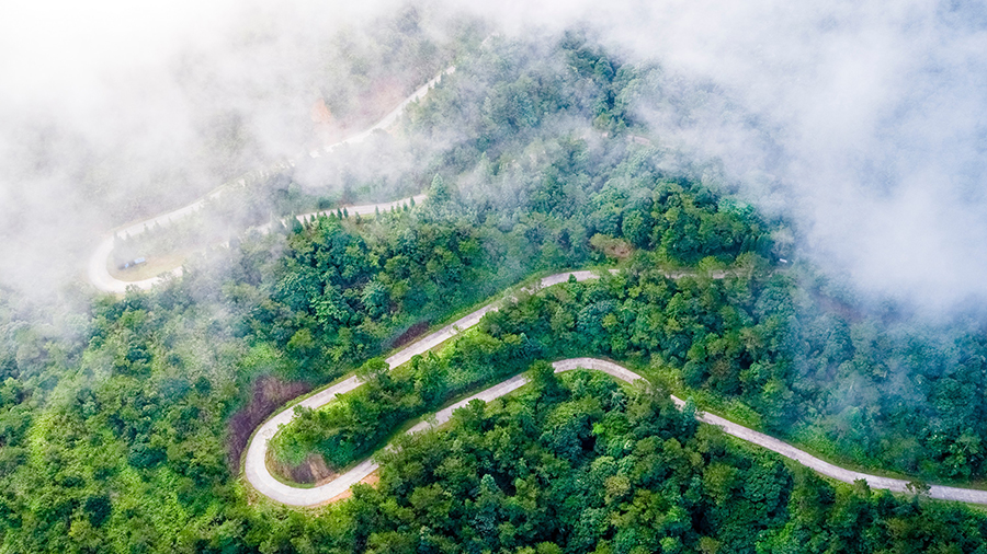 美しい3つの「國(guó)家森林都市」　広東省