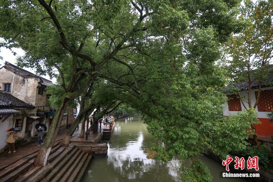 同里古鎮(zhèn)で江南水郷のスローライフを満喫　江蘇省蘇州