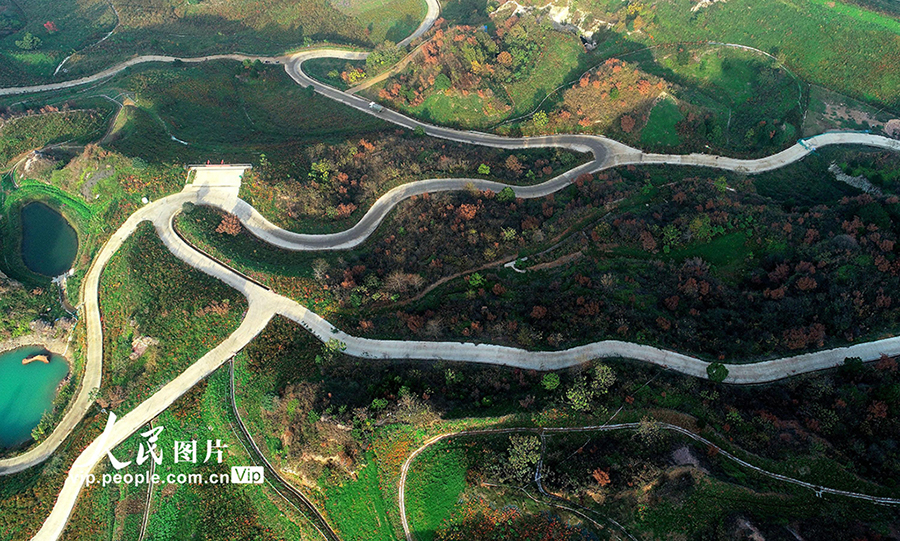 山々の間を蛇行するように伸びる廬南「川蔵ライン」（撮影?王閩/寫真著作権は人民図片が所有のため転載禁止）。