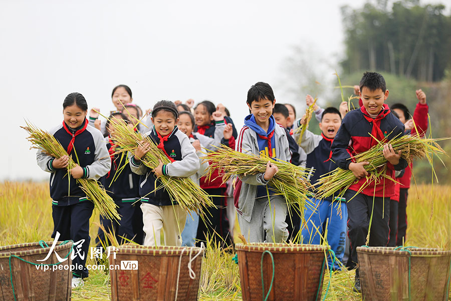 笑顔いっぱい！田んぼで運動會　浙江省湖州
