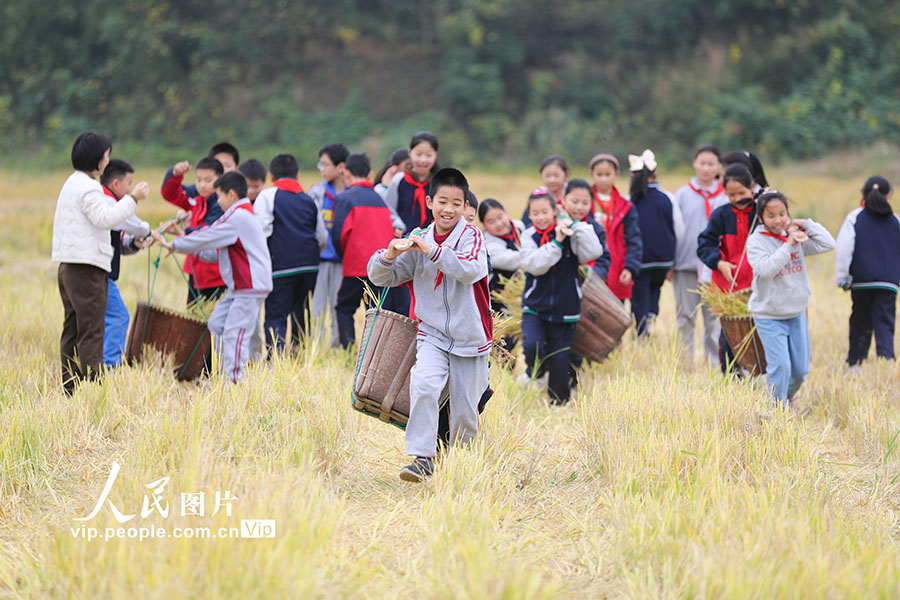 笑顔いっぱい！田んぼで運動會　浙江省湖州