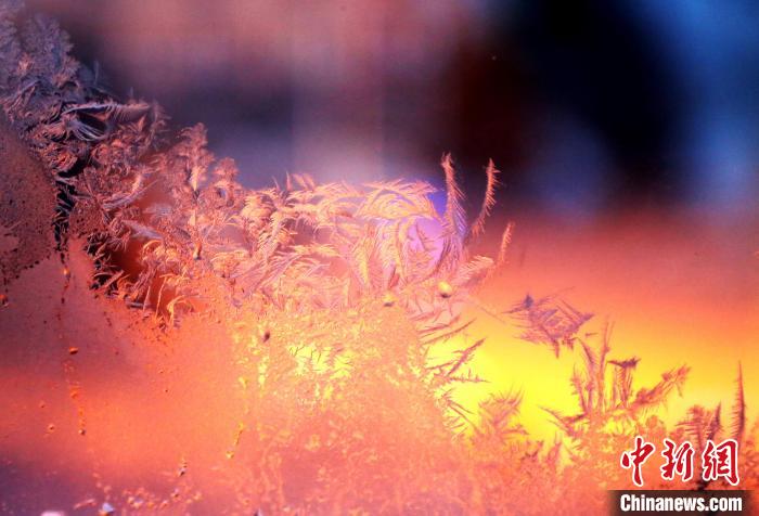 大自然が描く氷の「窓花」　內(nèi)蒙古大興安嶺