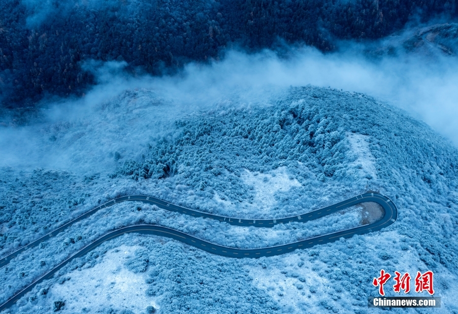 「霧氷」現(xiàn)る！雪化粧が施された臥竜自然保護(hù)區(qū)　四川省