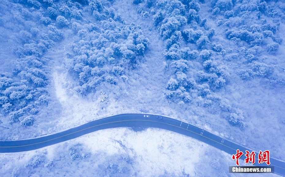 「霧氷」現る！雪化粧が施された臥竜自然保護區(qū)　四川省