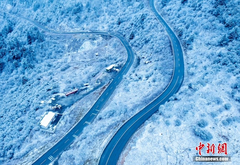 「霧氷」現(xiàn)る！雪化粧が施された臥竜自然保護(hù)區(qū)　四川省