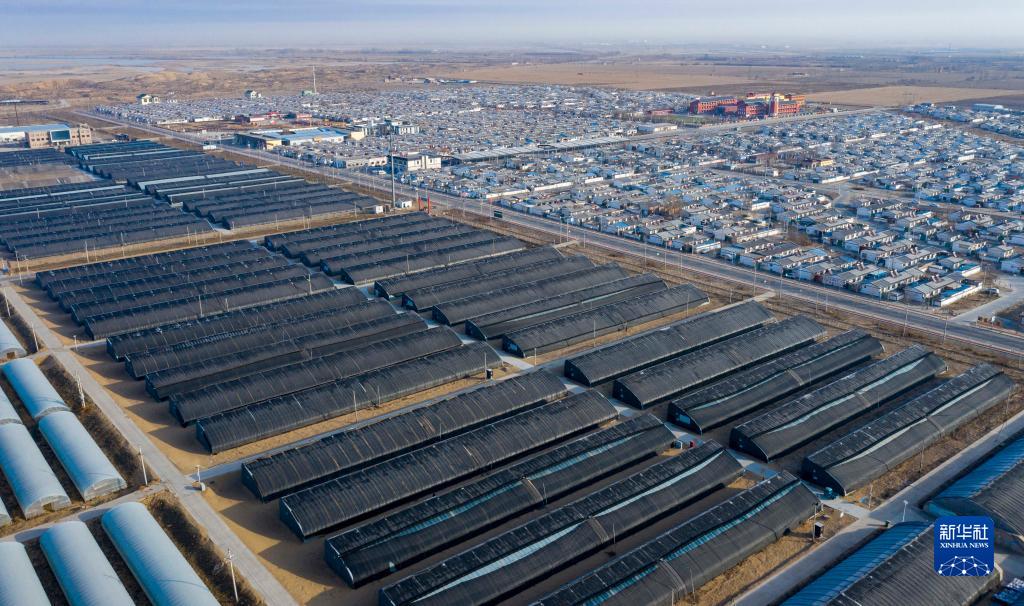 農(nóng)村振興に寄與する食用キノコ栽培業(yè)　寧夏賀蘭