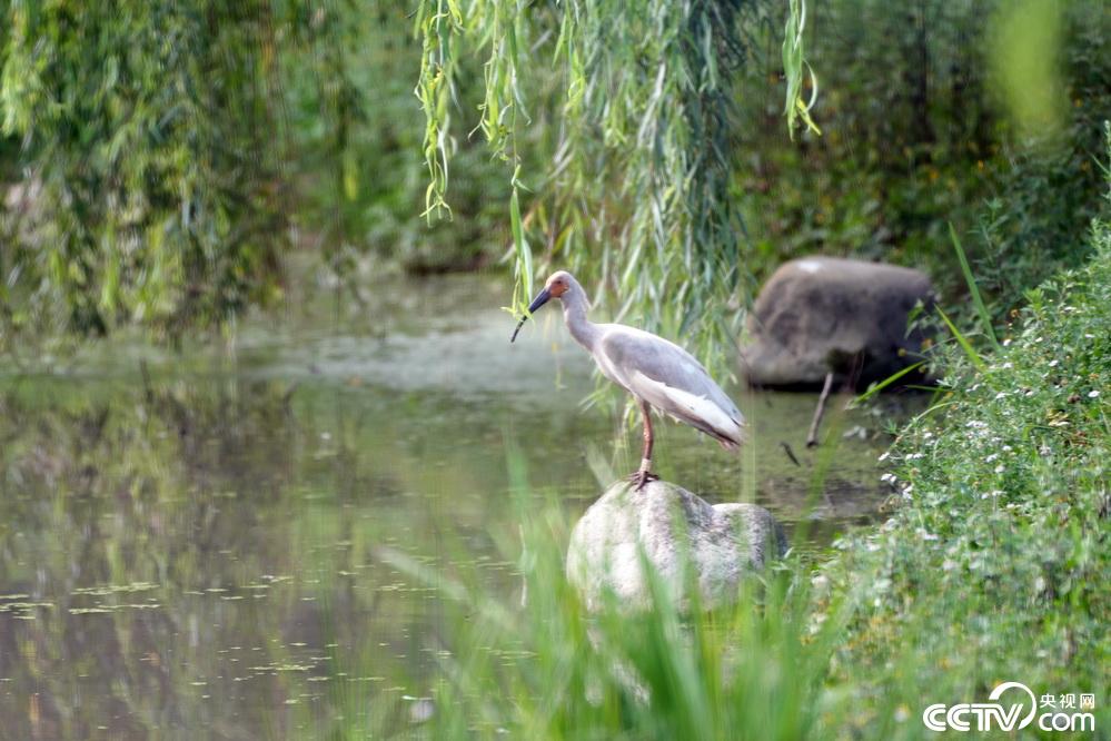 （資料寫真、撮影?張力洋）
