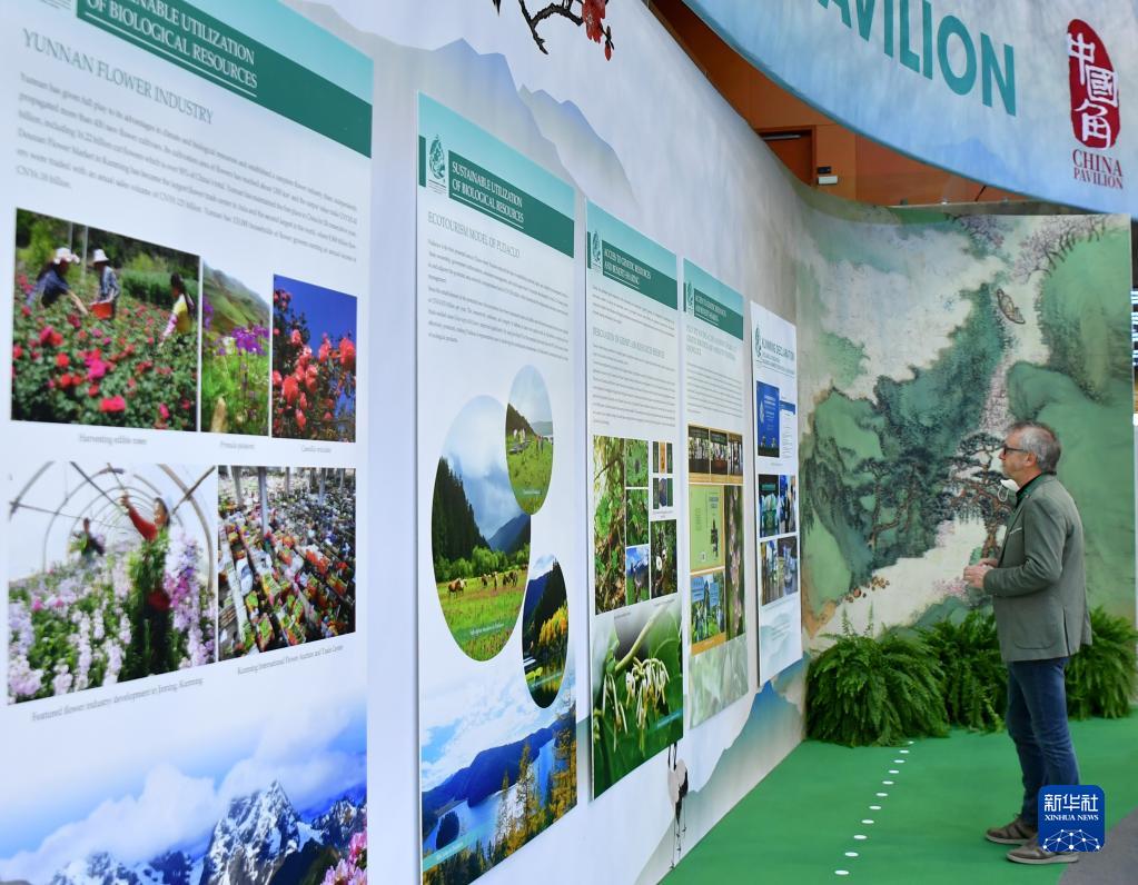 COP15、チャイナパビリオンを會(huì)議參加者に公開　カナダ