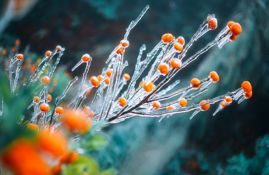 強(qiáng)い寒気の影響で「雨氷」現(xiàn)る　江西省南豊