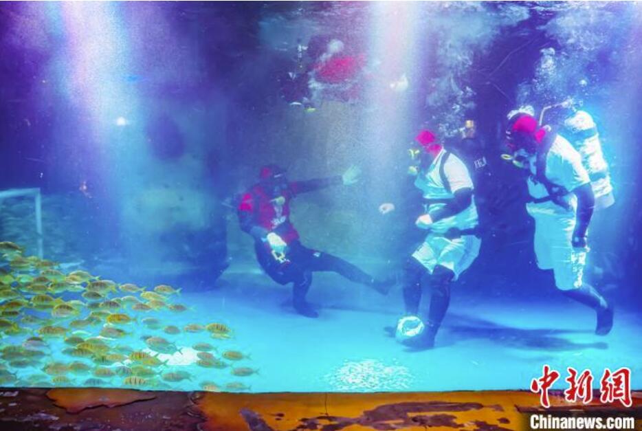 W杯の熱闘に負けるな！南京海底世界で「水中サッカー」開催　江蘇省