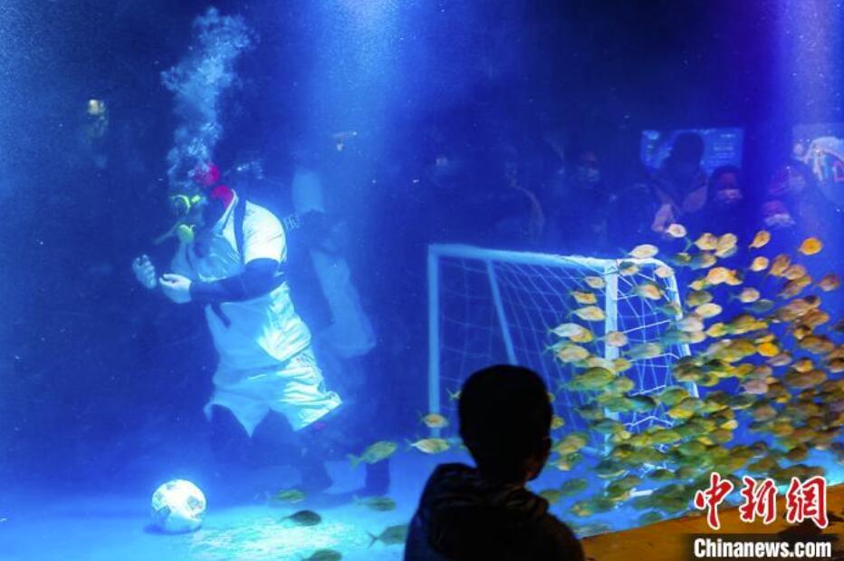 W杯の熱闘に負けるな！南京海底世界で「水中サッカー」開催　江蘇省