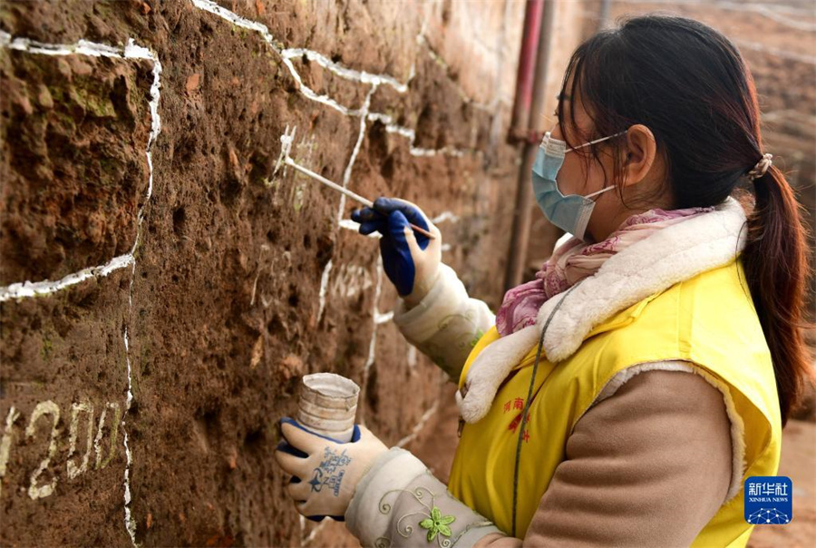 河南省で約6000年前の穀物倉庫群が出土