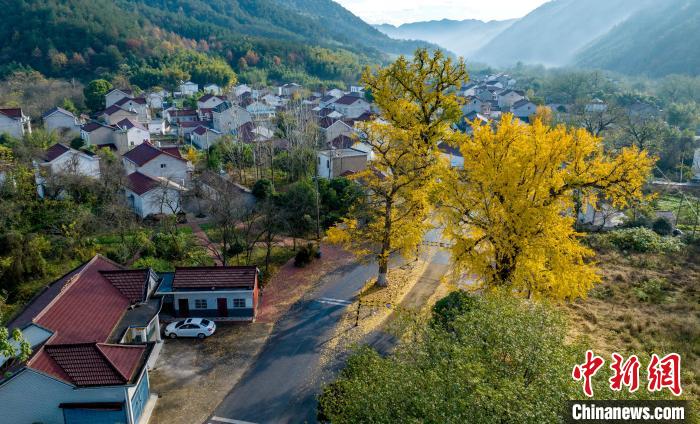 彩り豊かな初冬の古鎮(zhèn)　安徽省