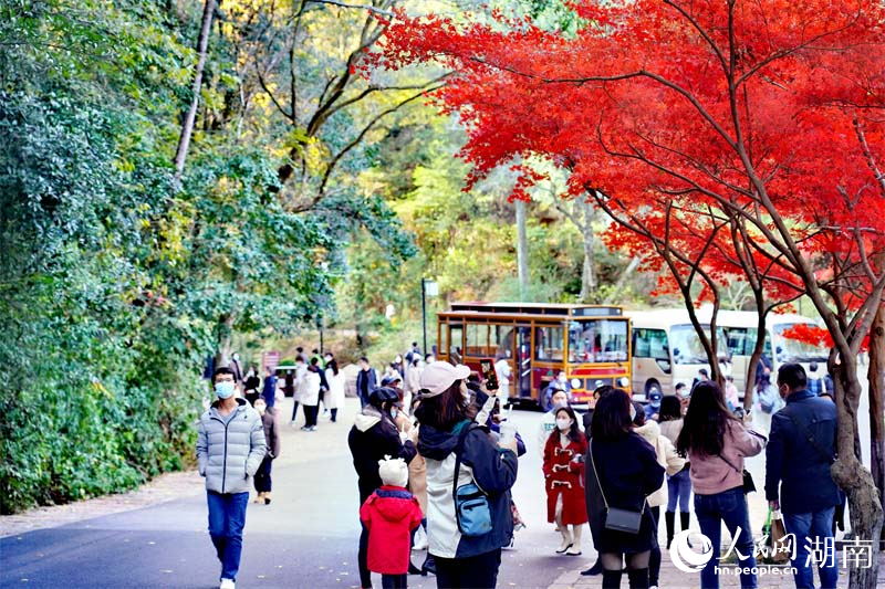 「霜葉は二月の花よりも紅なり」の愛晩亭に広がる絶景　湖南省長沙