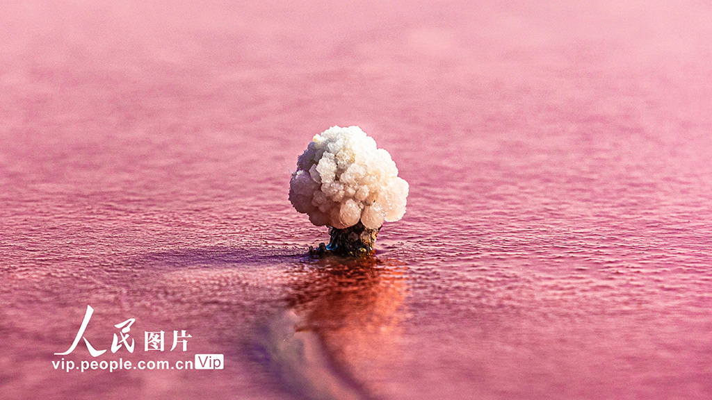 （撮影?楊建峰/寫真著作権は人民図片が所有のため転載禁止）。