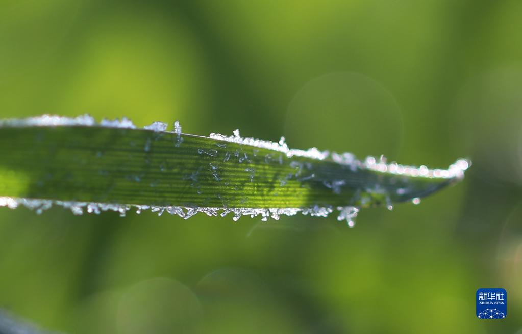 「冬至」を迎えた中國各地