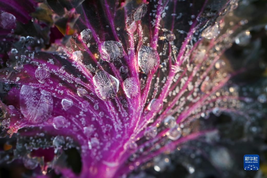 「冬至」を迎えた中國各地