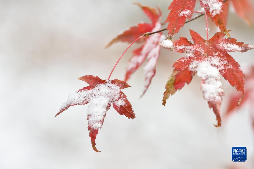 「冬至」を迎えた中國各地