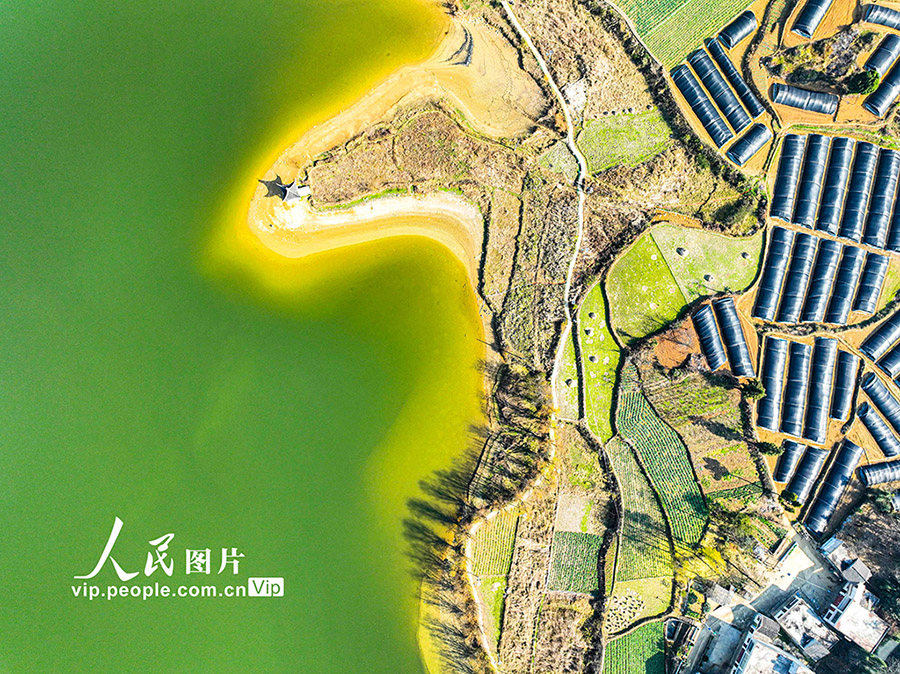 貴州省黔西に広がる緑豊かな冬の田園