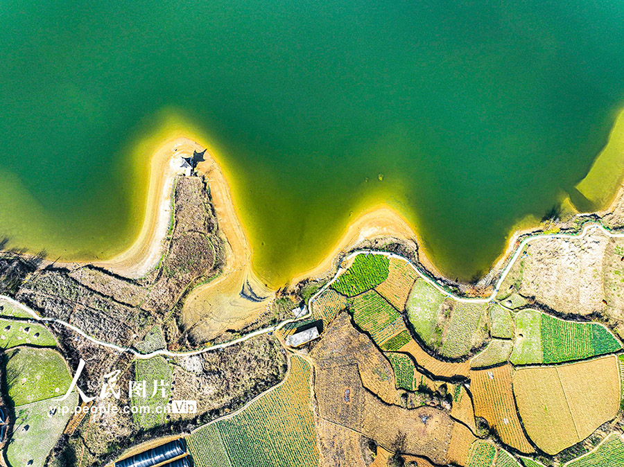 貴州省黔西に広がる緑豊かな冬の田園