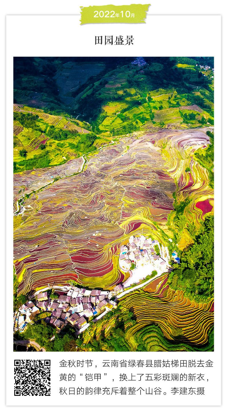 「彩雲(yún)の南」と言われる雲(yún)南省の春夏秋冬