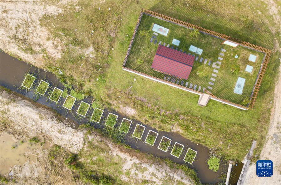 海南省文昌市、河川の「エコ浮島」建設で水質浄化