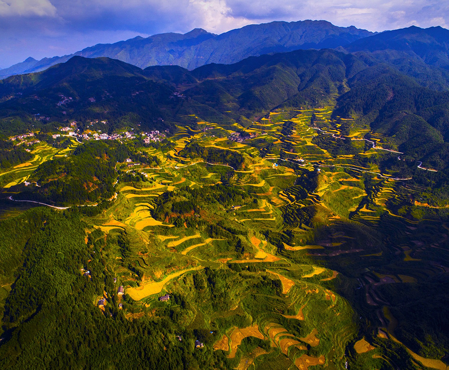 広東省の國家濕地公園、3ヶ所増えて計(jì)27ヶ所に