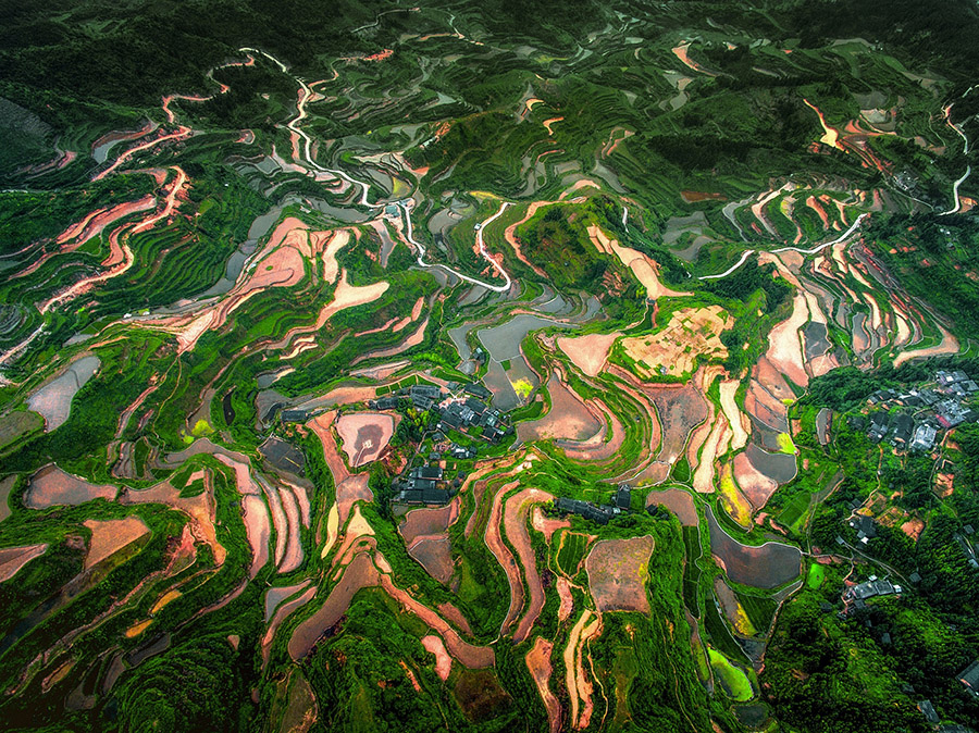 広東省の國家濕地公園、3ヶ所増えて計(jì)27ヶ所に