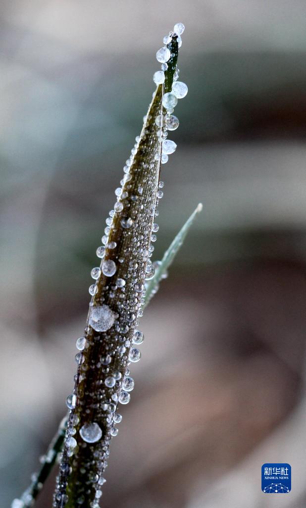 二十四節(jié)気の「小寒」迎えた中國全土