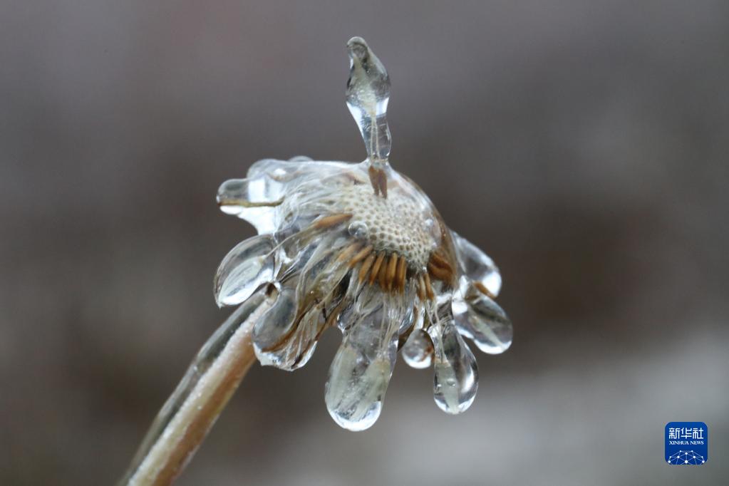 二十四節(jié)気の「小寒」迎えた中國全土