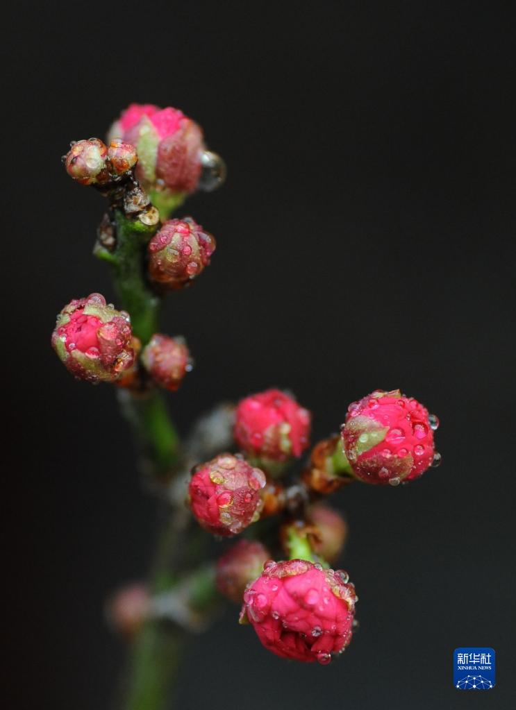 二十四節(jié)気の「小寒」迎えた中國(guó)全土