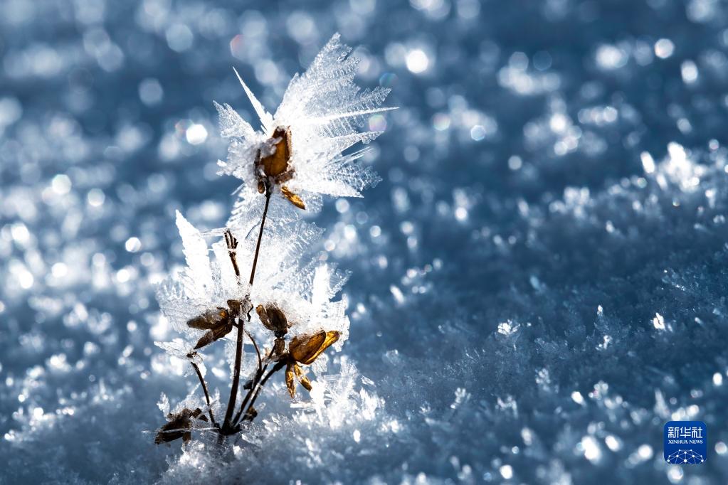 二十四節(jié)気の「小寒」迎えた中國(guó)全土